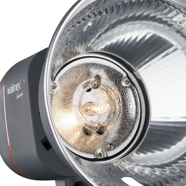 Lampa studyjna Walimex pro Newcomer 300 (21198)
