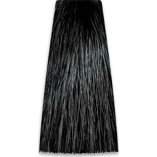 Chantal PROSALON PROFESSIONAL Intensis Color Art Profesjonalna Farba do włosów nr 1.0 czarna 100g