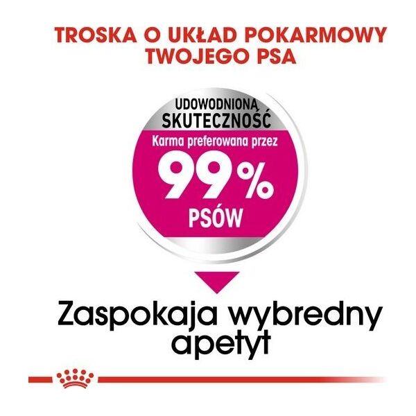 Royal Canin Royal Canin Mini Exigent karma sucha dla psów dorosłych, ras małych, wybrednych 1kg
