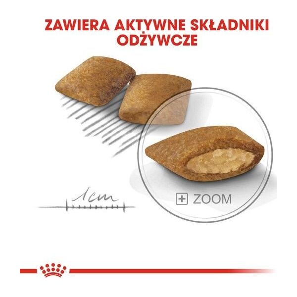 Royal Canin Royal Canin Mini Exigent karma sucha dla psów dorosłych, ras małych, wybrednych 1kg
