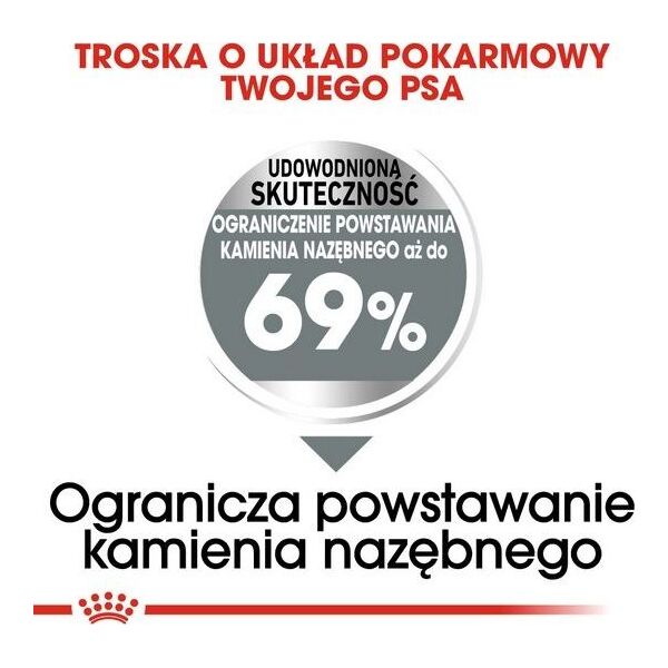 Royal Canin Royal Canin Mini Dental Care karma sucha dla psów dorosłych ras małych do 10 kg higiena zębów 3kg