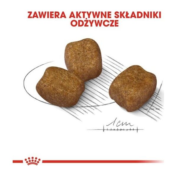 Royal Canin Royal Canin Mini Dental Care karma sucha dla psów dorosłych ras małych do 10 kg higiena zębów 3kg