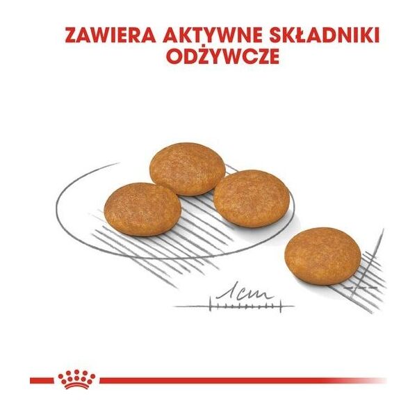 Royal Canin Royal Canin Mini Dermacomfort karma sucha dla psów dorosłych, ras małych o wrażliwej skórze skłonnej do podrażnień 1kg