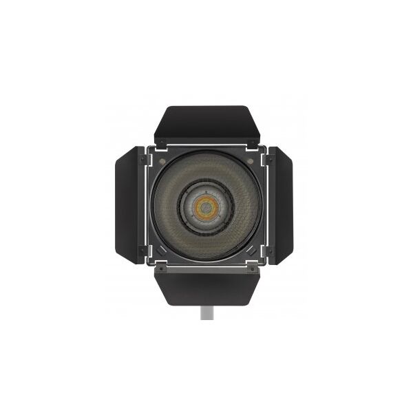 Πτερύγια Newell BD-200