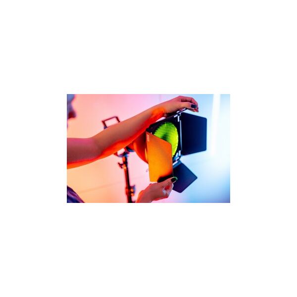 Πτερύγια Newell BD-200