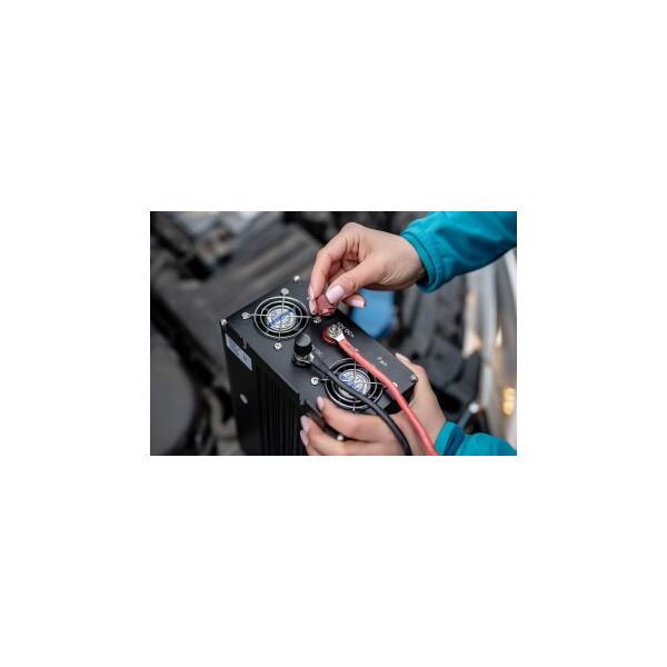 Μετατροπέας τάσης Newell με καθαρό ημίτονο - 24 V / 230 V, 1000 W