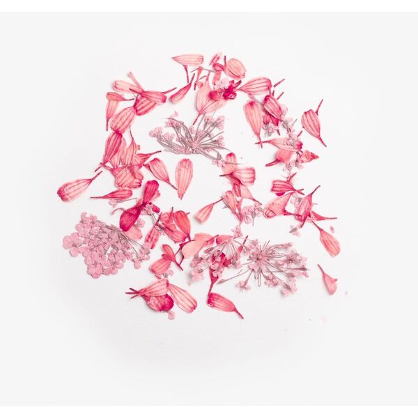 SEMILAC Νιφάδες Λουλουδιών Coral Blossom