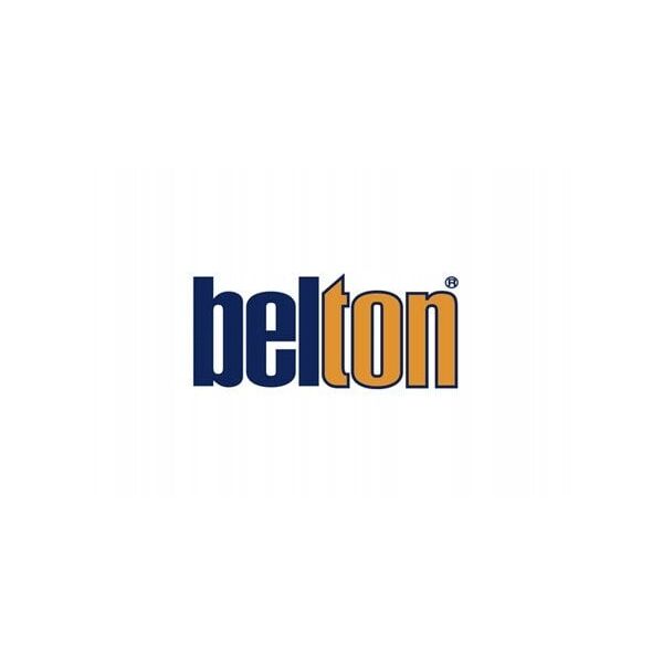 Χρώμα σε Σπρέι BELTON Γκρι/Ψευδάργυρος/Αλουμίνιο