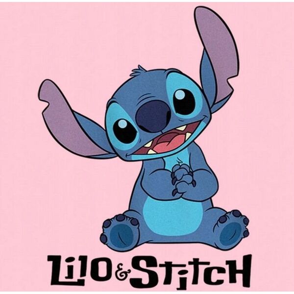 Σετ Lilo I Stitch Αξεσουάρ Μαλλιών 24 Τεμ. Για Παιδί Κλιπς Λαστιχάκια / St00101