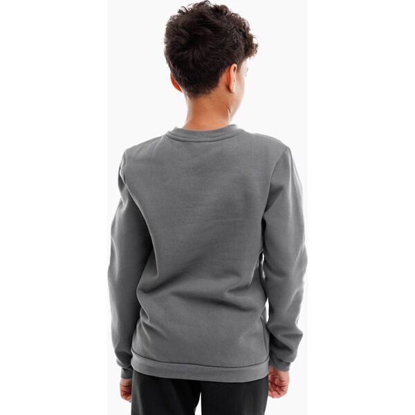 Bluza dla dzieci adidas Entrada 22 Sweat Top szara H57477 176cm