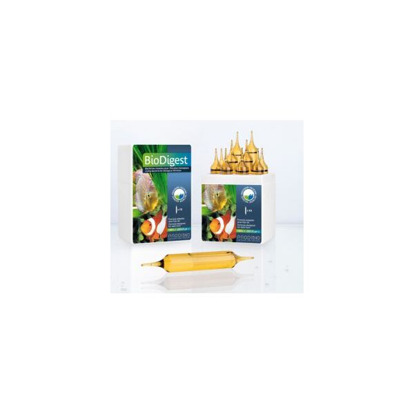 Prodibio Biodigest PRO 10 ampułek