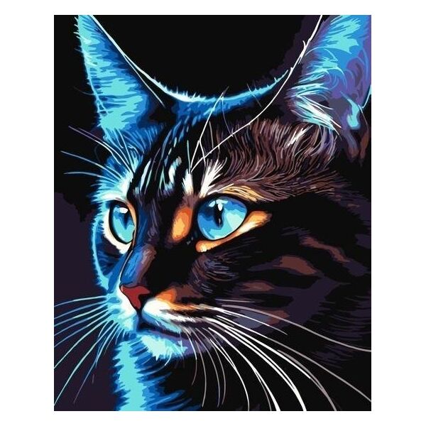 Malowanie po numerach - Cosmo-cat 40x50cm