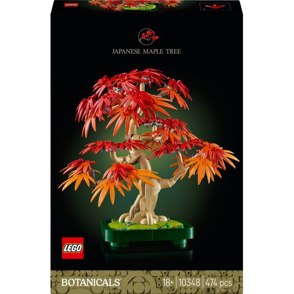 Botanicals Klon palmowy bonsai (10348)
