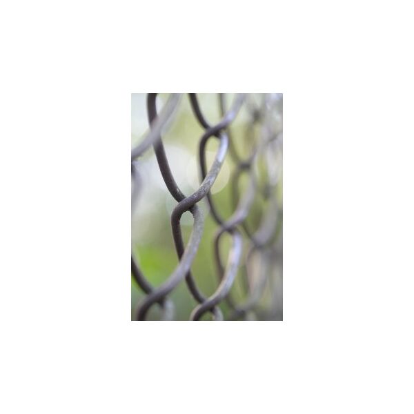 Obiektyw Laowa 100 mm f/2,8 Tilt-Shift 1x Macro do Nikon Z