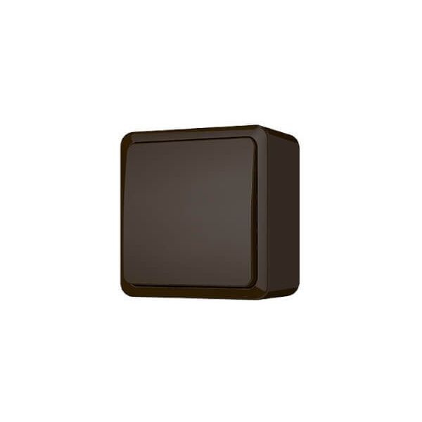 SWITCH P110-010V TOP CL1 BROWN SL+