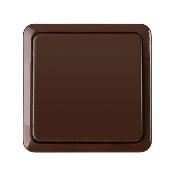 SWITCH P610-010V TOP CL1 BROWN SL+