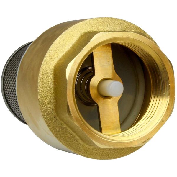 CHECK VALVE 4117025 1 IN WITH FILTER