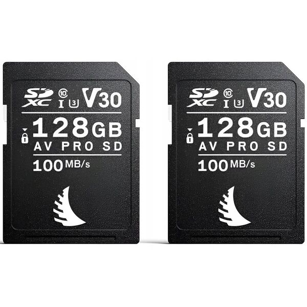Κάρτα Μνήμης Angelbird AV PRO SD 128GB V30 Canon