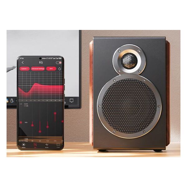 FiiO SA1 - black - Ενεργά ηχεία Hi-Fi