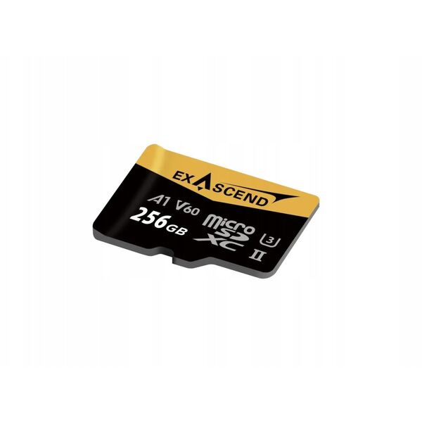 Karta Exascend Catalyst UHS-II V60 micro 256GB