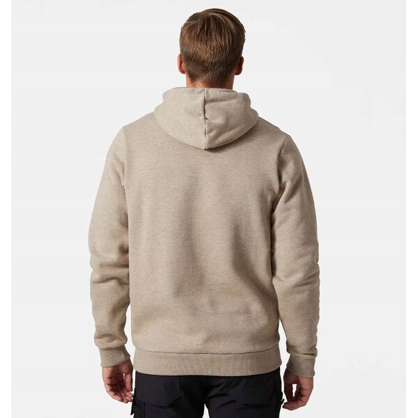 Φούτερ HELLY HANSEN Graphic Sweatshirt, πράσινο M