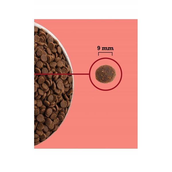 ACANA Highest Protein Indoor Cat 1,8kg