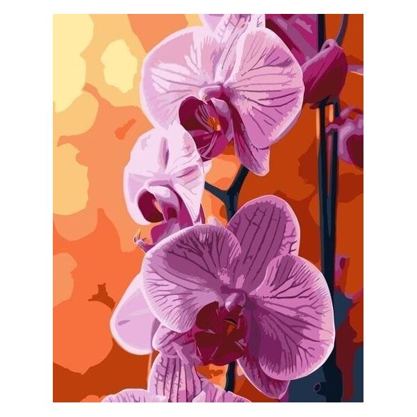 Malowanie po numerach - Orchidea 40x50cm