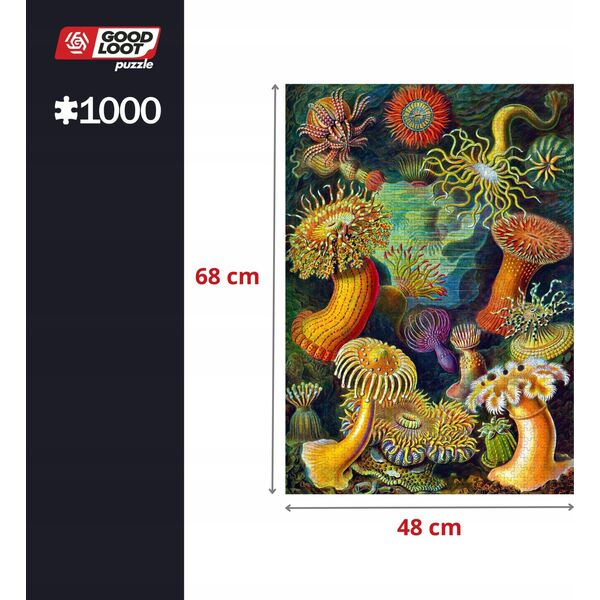 Good Loot Good Loot Puzzle: Ernst Haeckel - Sea Anemones