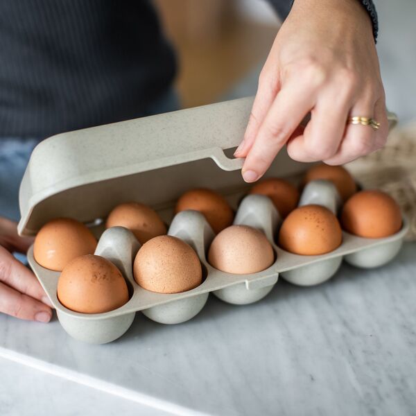 Δοχείο για αυγά EGGS TO GO, για 10 αυγά, KOZIOL