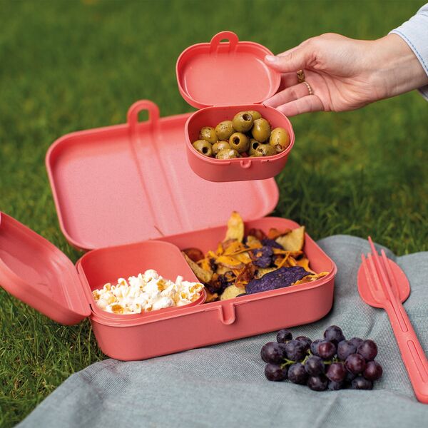 Lunchbox PASCAL READY, σετ 3 δοχείων και μαχαιροπίρουνα, KOZIOL