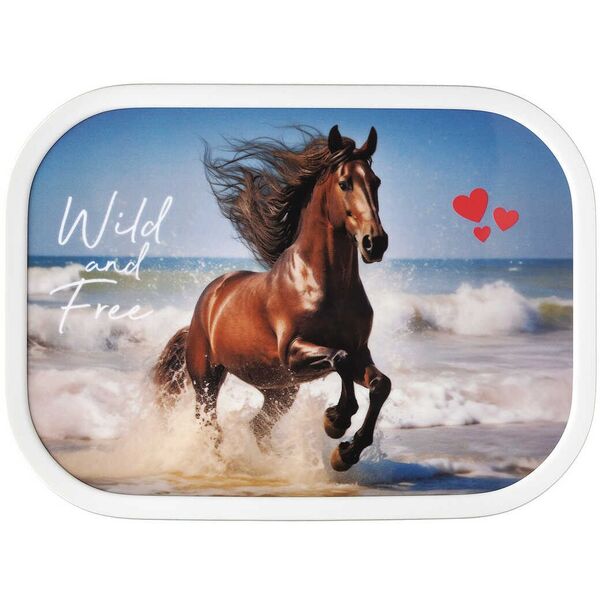 ΚΟΥΤΙ ΜΕΣΗΜΕΡΙΑΝΟΥ CAMPUS WILD HORSE 107440065401
