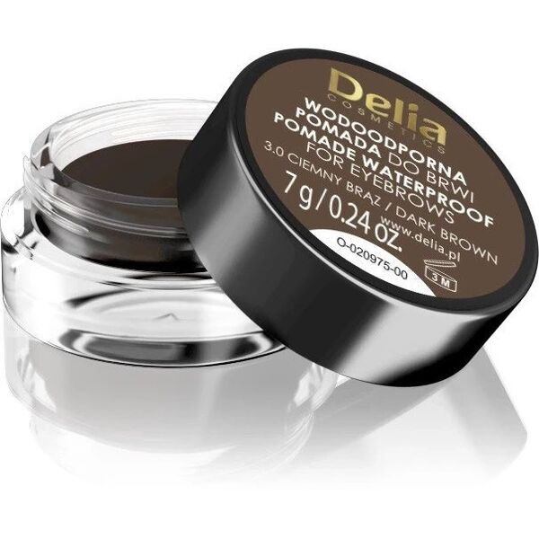 DELIA Eyebrow Expert αδιάβροχη πομάδα φρυδιών 3.0 σκούρο καφέ 7 g