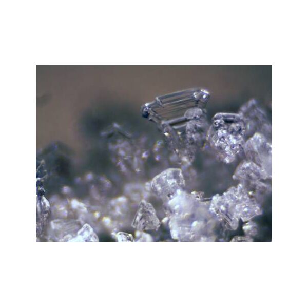 Mikroskop Bresser Erudit ICD Stereo (5803600)