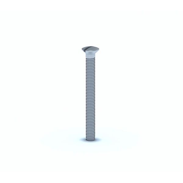 ΒΙΔΑ 6X60MM SIPHON HEAD MN063