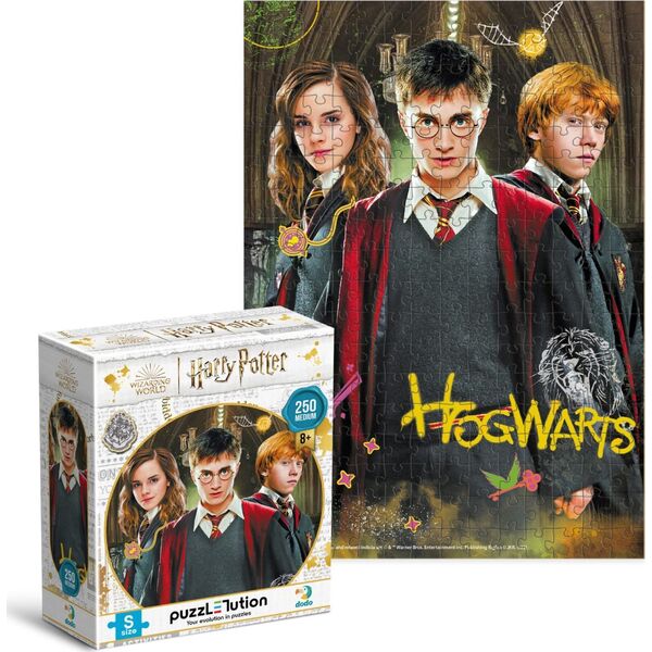 Dodo Puzzle "Harry Potter I Przyjaciele" 250 Elementów Układanka Zestaw Hogwart