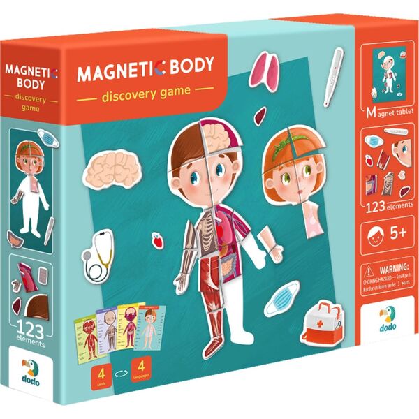 Dodo Magnetyczny Zestaw Edukacyjny Ludzkie Ciało Gra Magnetyczna Części Ciała