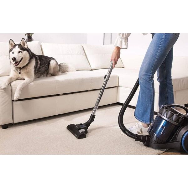 Odkurzacz Conga Rockstar Multicyclonic Compact XL Animal Cecotec