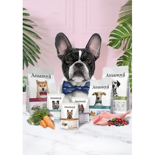Amanova Dog Adult Brilliant Beef & Chicken - wołowina i kurczak saszetka 100g [P01]