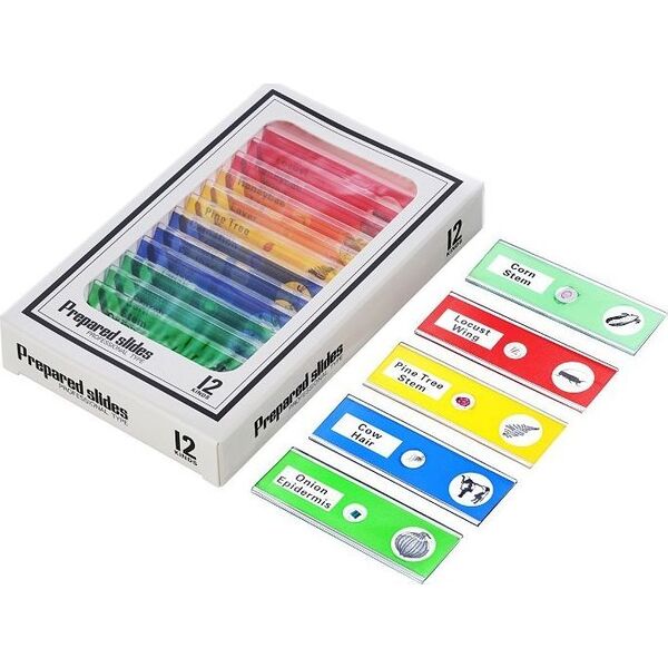 Mikroskop Levenhuk Mikroskop cyfrowy Levenhuk LabZZ DM200 LCD