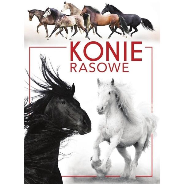 Konie rasowe
