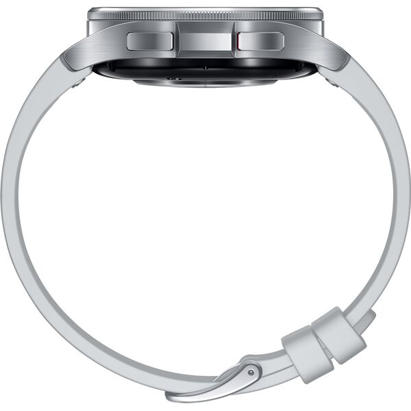 Smartwatch Samsung Galaxy Watch 6 Classic Stainless Steel 43mm LTE Szary  (SM-R955FZSAEUE)