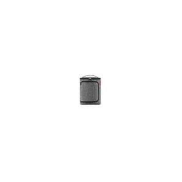 Reisenthel Coolerbox Twist silver