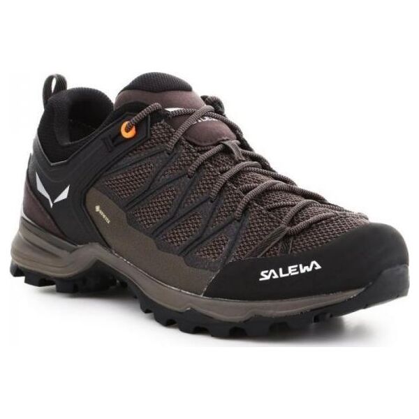 Buty trekkingowe męskie Salewa MTN Trainer Lite GTX ciemnobrązowe r. 45