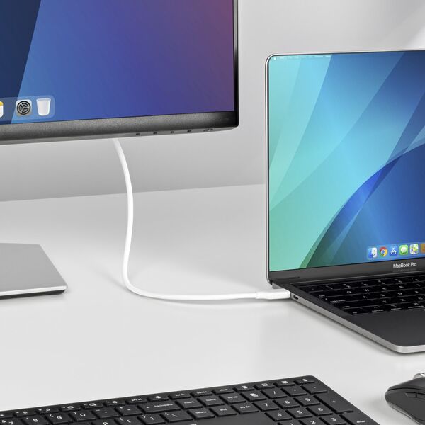 StarTech CDP2DP2MBW προσαρμογέας καλωδίου 1,9 m DisplayPort USB Type-C Λευκό
