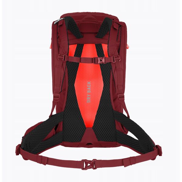 Γυναικείο σακίδιο Alp Trainer 20-syrah SALEWA