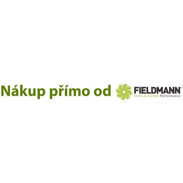 Επαναφορτιζόμενο δράπανο-κατσαβίδι Fieldmann FDV 10202-A, Li-Ion 12V/1300 mAh