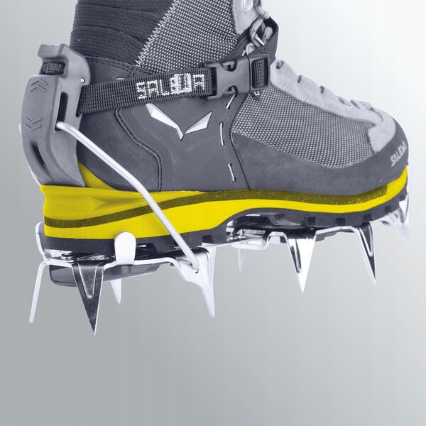 Παπούτσια Salewa Crow GTX - κάκτος/θειούχο ελατήριο