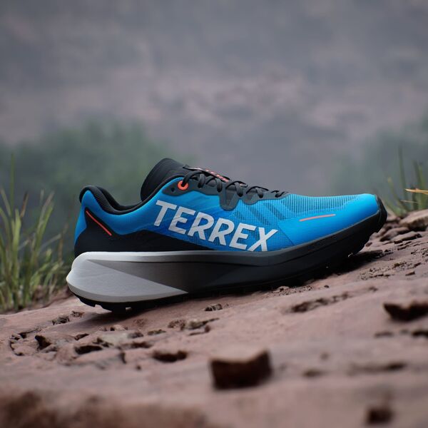 Ανδρικά παπούτσια για τρέξιμο adidas TERREX Agravic 3 - ftwwht/seimor/dshgry