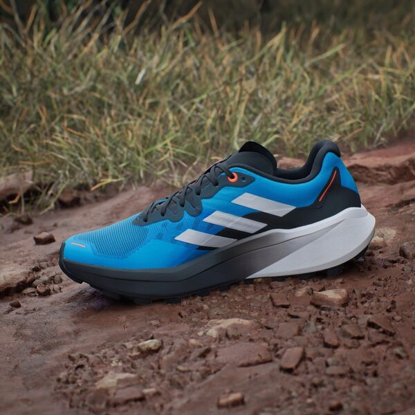 Ανδρικά παπούτσια για τρέξιμο adidas TERREX Agravic 3 - ftwwht/seimor/dshgry