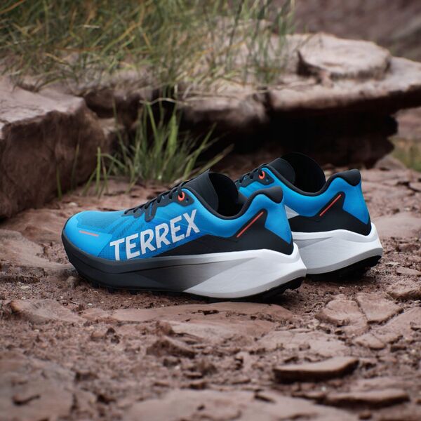 Ανδρικά παπούτσια για τρέξιμο adidas TERREX Agravic 3 - ftwwht/seimor/dshgry